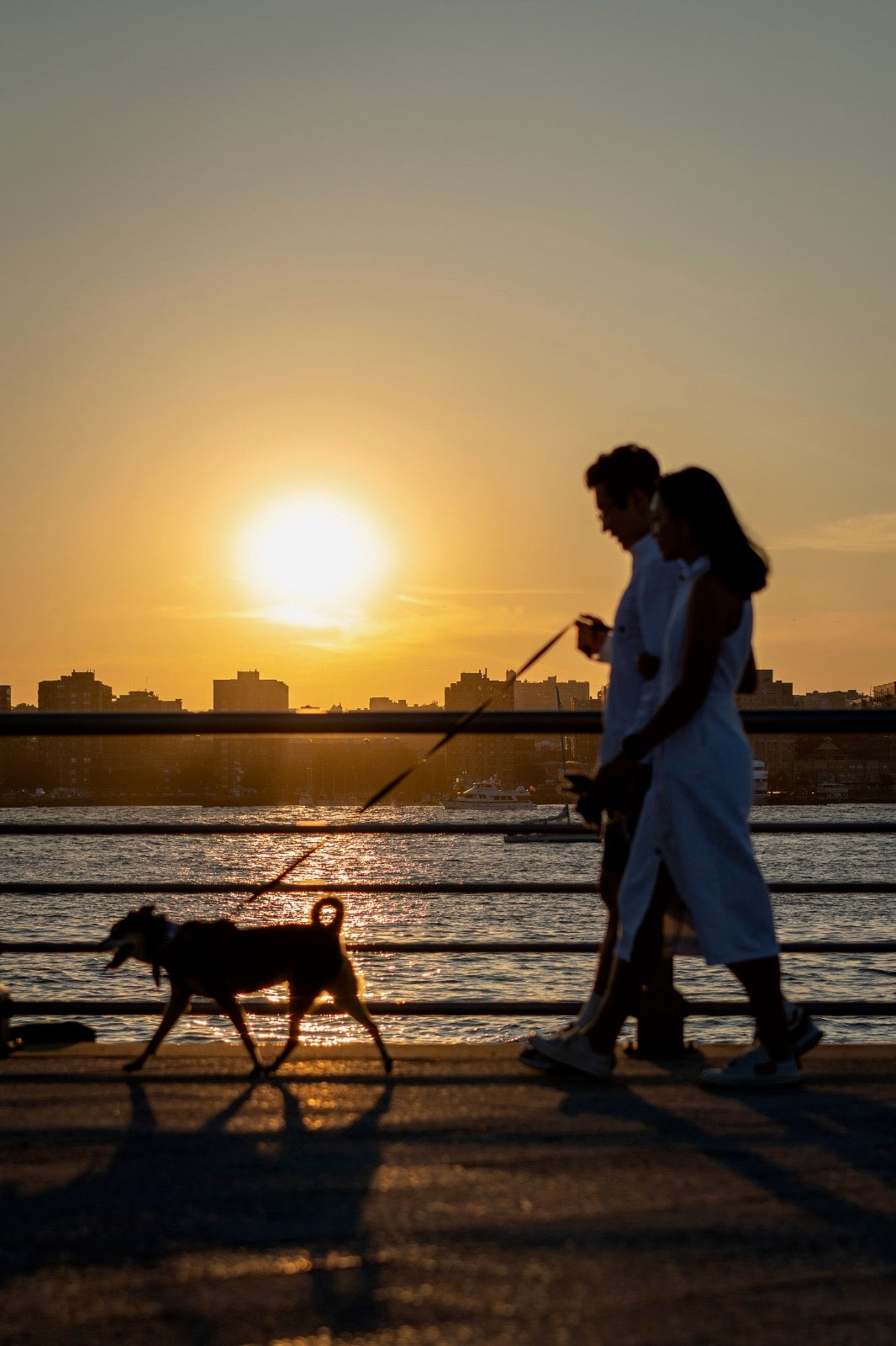 Two people walking a dog on a beach at sunset